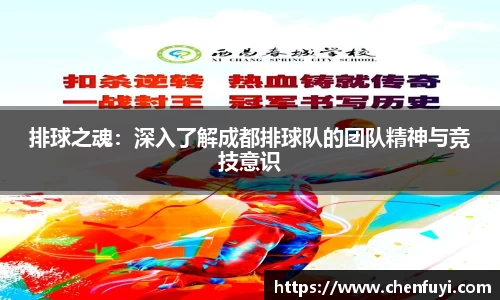 排球之魂：深入了解成都排球队的团队精神与竞技意识