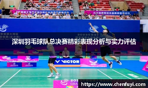 深圳羽毛球队总决赛精彩表现分析与实力评估