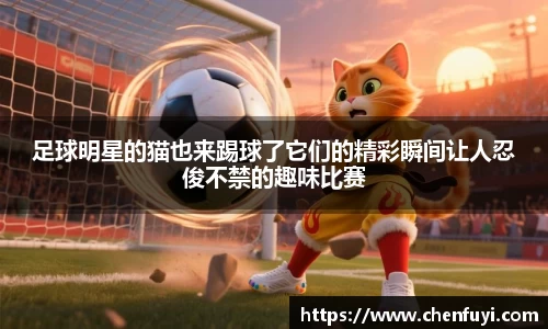 足球明星的猫也来踢球了它们的精彩瞬间让人忍俊不禁的趣味比赛